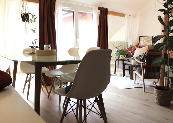 #lamaisonverte-calme En Zone Pietonne De Daire Mulhouse